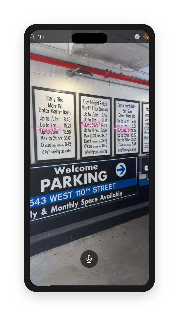 Lemon Balm reading a parking sign